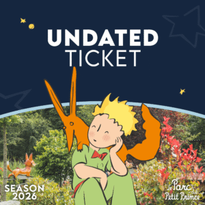 Open ticket