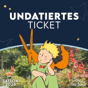 Open ticket