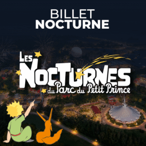 Billet Nocturne